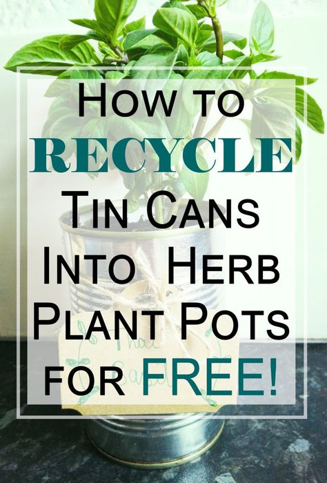 Herbs Garden Ideas, Ivy Plant Indoor, Garden Diy Decoration Ideas, Gardening Herbs, Recycled Tin Cans, Herbs Garden, How To Recycle, Plant Pot Diy, Recycled Art Projects