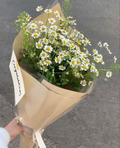 Daisy Bouquet Aesthetic, Wrap Flowers In Paper, Coffee Gadgets, Daisy Bouquet, Boquette Flowers, Gift Bouquet, Nothing But Flowers, Beautiful Bouquet Of Flowers, Luxury Flowers