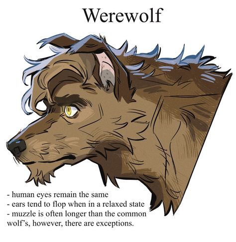 Werewolf Drawing, Werewolf Aesthetic, Werewolf Art, Canine Art, Creature Drawings, Mythical Creatures Art, Creature Concept Art, Wolf Art, Arte Fantasy