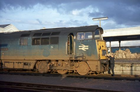 BT24. D1034 Western Dragoon at Temple Meads. Autumn 1973? | Flickr Old West Train Station, Western Train Station, Duck The Great Western Engine, Broome Western Australia, Western Region, Train Room, Great Western Railway, British Railways, Learning Graphic Design