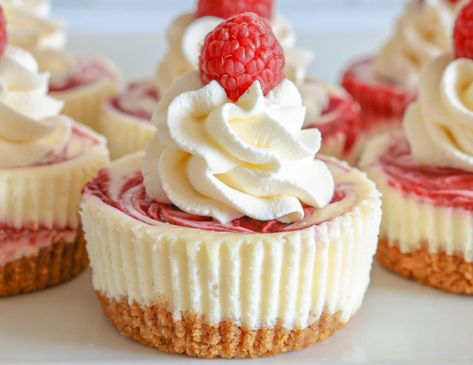 Raspberry Swirled Mini Cheesecakes - The Savory Cipolla Raspberry Cheesecake Cups, Cheesecake Recipes Cupcakes, Christmas Chocolate Chip Cookies, Raspberry Cheesecake Bites, Birthdays Cakes, Raspberry Swirl Cheesecake, Mini Cheesecake Bites, Mini Pumpkin Cheesecake, Baked Sweets