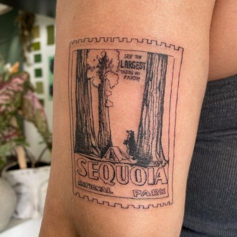 Sequoia Tattoo Ideas, National Park Tattoos, California Redwoods Tattoo, Coast Redwood Tattoo, National Parks Tattoo, Pacific Northwest Sleeve Tattoo, Sequoia Tattoo, Oregon Stamp Tattoo, Yosemite Tattoo