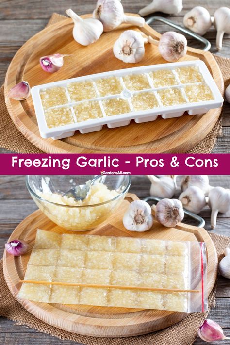 Frozen Garlic Hack, Recipes That Use A Lot Of Garlic, Freezing Fresh Leeks, What Foods Can You Freeze, How To Freeze Minced Garlic, Freeze Dried Garlic, Canned Minced Garlic, Freezing Minced Garlic, How To Freeze Garlic