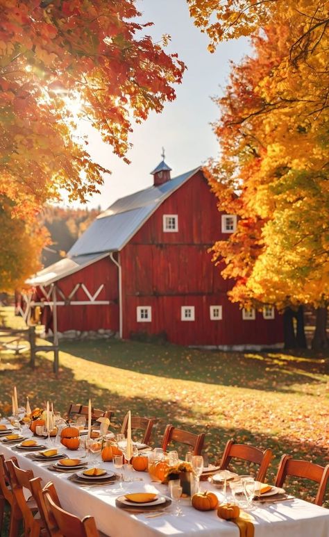 How to Host a Fantastic Fall Garden Gathering Thanksgiving Outdoor Dinner Table, Outdoor Thanksgiving Dinner Party Ideas, Outdoor Thanksgiving Table, Harvest Aesthetic, Outdoor Dinner Table, Garden Gathering, Dinner Fall, Outdoor Thanksgiving, Autumn Farmhouse