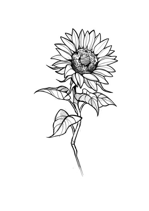 Sunflower Doodle, Tattoos