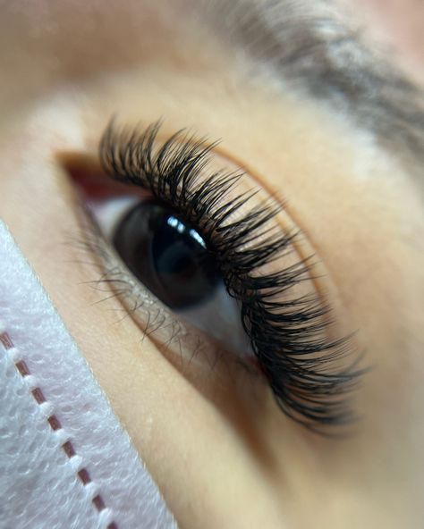 Wet set lashes extensions Cat Eye lashes houston Short Wet Set Lash Extensions, Lashes Wet Set, Cat Eye Wet Set Lash Extensions, Wet Set Lashes, Cat Eye Eyelash Extensions, Natural Fake Eyelashes, Celebrity Endorsement, Lash Mapping, Lash Quotes