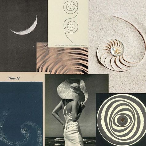 The significance of the spiral & geometric pattern in space and nature New Moon Symbol, Symbols Of Nature, Yoga Mood Board, Growth Symbolism, Symbol For Growth, Life Cycle Art, Cycles In Nature, Sun Cycle, Nature Moodboard