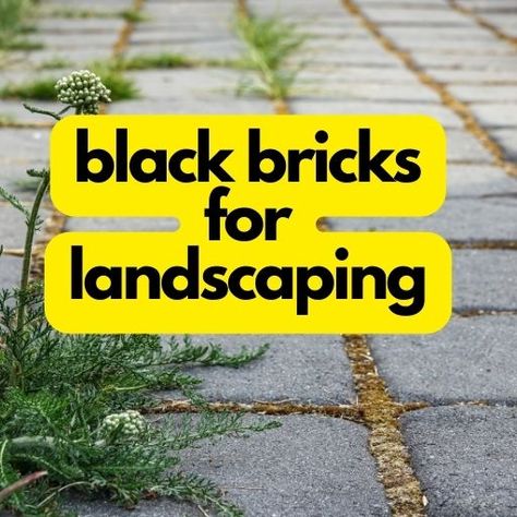 Best Black Bricks for Landscaping 2023: An Overview Black Wash Brick, Painted Brick Patio, Bricks In Garden, Black Painted Brick, Colorful Landscaping, Refractory Brick, Types Of Bricks, Brick Projects, Brick Walkway