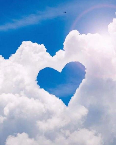 I Love You Clouds, Heart Clouds Sky, Gorgeous Backgrounds, Missing Someone In Heaven, Cloud Heart, Heart Cloud, Magical Animals, Heavenly Birthday, Blue Texture Background