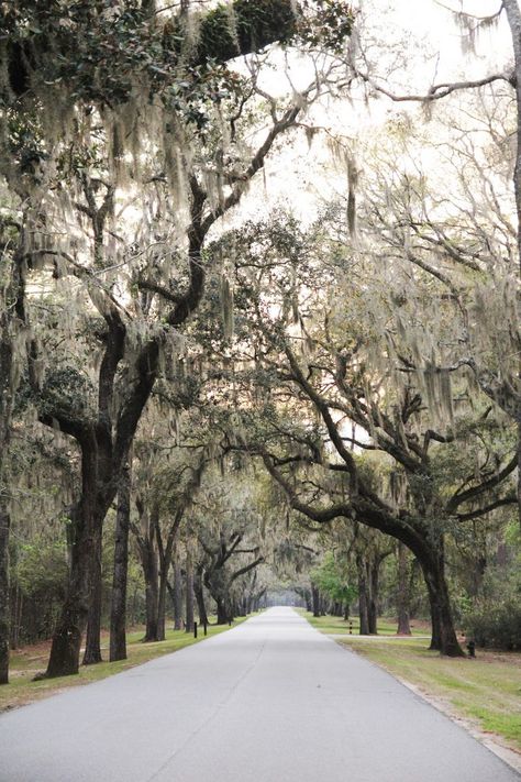 Bluffton, SC: A Trip to a classic Southern Coastal Town - QC Exclusive Bluffton Sc, Classic Southern, South Bank, Red Fish, Coastal Towns, South Carolina, Old Town, Savannah Chat, Places Ive Been