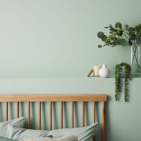 Light Green Bedroom Walls, Light Green Paint, Mint Green Walls, Eggshell Paint, Bedroom Wall Colors, Room Redesign, Bed Curtains, Paint Samples, Bedroom Paint