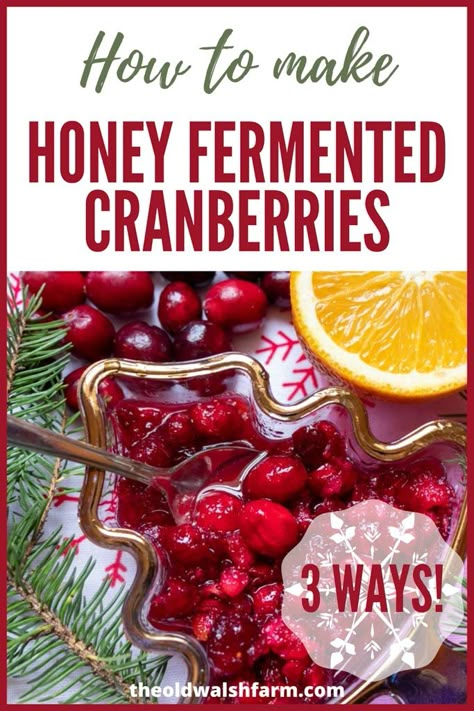 Fermented Cranberries, Fermenting Foods, Fermented Honey, Fermenting Weights, Homestead Kitchen, Fermentation Recipes, Healthy Treat, Cranberry Recipes, Farm Kitchen