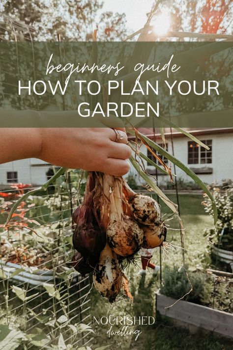 Beginners Guide: How to Plan Your Garden | Gardening from scratch | how to start a garden | how to grow your own food | what to plant in your garden | starting a homestead | spring garden tips North Carolina Gardening Vegetables, How To Start A New Garden, Planning My Garden, How To Start A Food Garden, How To Start Garden, When To Start A Garden, When To Start Your Garden, How To Plan A Garden For Beginners, Spring Garden Planting Guide