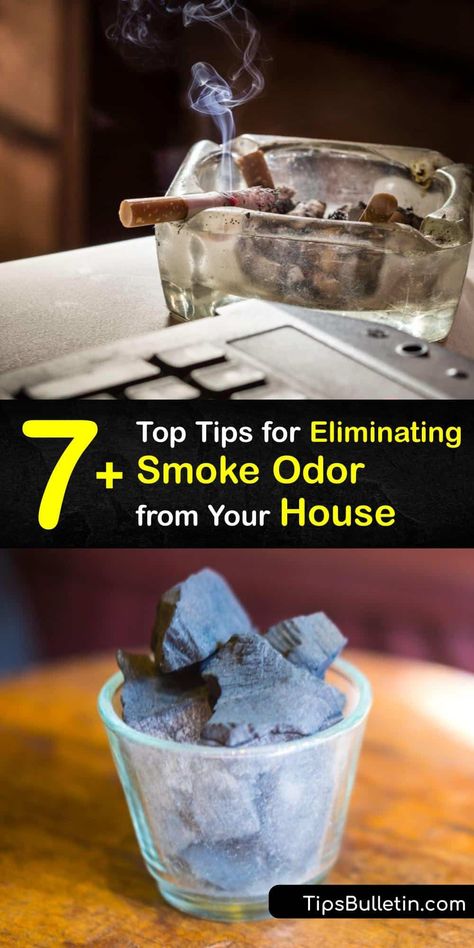 Smoking indoors affects the air quality of your home, and over time the cigarette smell settles in your furniture, clothes, and even on solid surfaces. Smoke particles in the air lead to discolored carpet and walls, but smoke odor removal is easy with home remedies. #remove #smoke #smell #house How To Make Your Walls Smell Good, Clean Smokers House, Remove Odors From Home, Cleaning Smokers House, Cleaning Purses, Odor Eliminator House, Odor Eliminator Diy, Homemade Scents, Checklist New Home