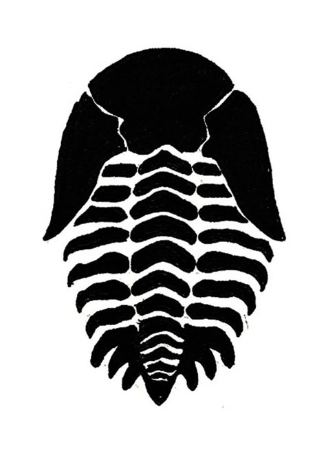 Trilobite Design by ewhauber Dino Fossil Tattoo, Trilobite Drawing, Trilobite Illustration, Trilobite Art, Trilobite Tattoo, Patch Stencils, Fossil Tattoo, Customizing Clothes, Diy Stamps