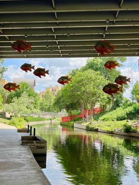 39 Fun Things to Do in San Antonio for Adults [year] You'll Love San Antonio Zoo, San Antonio Missions, Japanese Tea Garden, San Antonio River, Downtown San Antonio, Girls Day, Ghost Tour, River Walk, Grown Ups