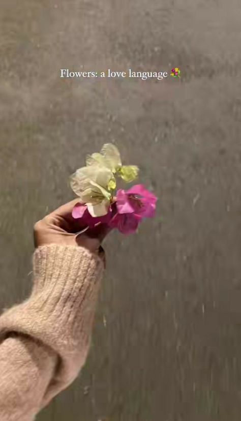 Caption For Gajra, Rose Insta Story, Caption For Flowers Pictures, Flowers Aesthetic Captions, Flower Insta Story, Flowers Insta Story, Iphone Wallpaper Elegant, Flower Captions, Flower Captions For Instagram