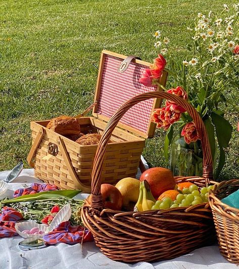 Nature Picnic, Picnic Family, Countryside Life, Picnic Quilt, Picnic Aesthetic, California Coastline, Sunny Season, Picnic Baskets, Perfect Picnic