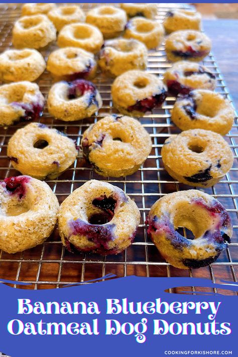 Dessert For Dogs, Blueberry Banana Dog Treats, Blueberry Dog Treats Homemade, Dog Breakfast Recipes, Dog Bakery Ideas, Dog Donuts Recipe, Dog Muffins Recipe, Dog Desserts, Costa Rican Recipes