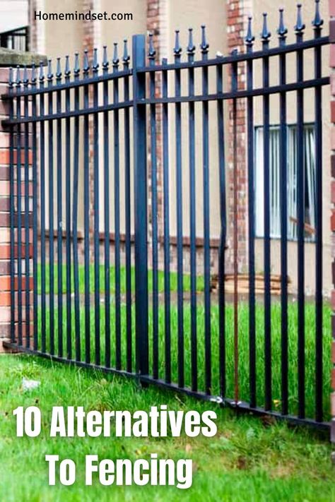 Want to know the alternatives to fencing? In this article, we'll give you the top 10 plus everything you need to know. Alternative Fencing Ideas, Cheapest Fence Ideas, Fence Alternatives, Free Standing Fence, Fences Alternative, Temporary Fencing, Portable Fence, Invisible Fence, Outdoor Fencing