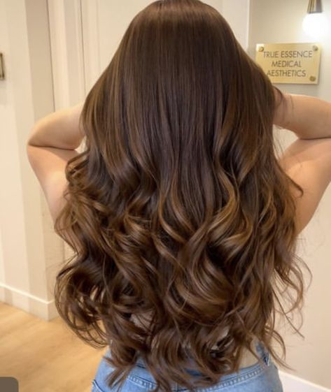 Curled Long Brown Hair, Curled Hair Styles For Long Hair, Curled Hair Brown, Loose Curled Hair, Curled Brown Hair, Honey Brown Balayage, Wavy Brunette Hair, Brown Curled Hair, Loose Curls Hairstyles