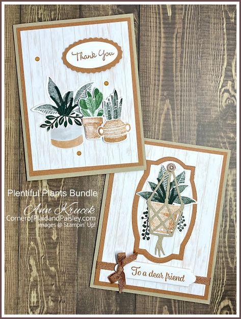 Bloom Where Youre Planted, Bloom Where You Are Planted, Window Cards, Birthday Cards For Women, Stampin Up Catalog, Stamping Up Cards, Cards For Friends, Floral Cards, Flower Cards