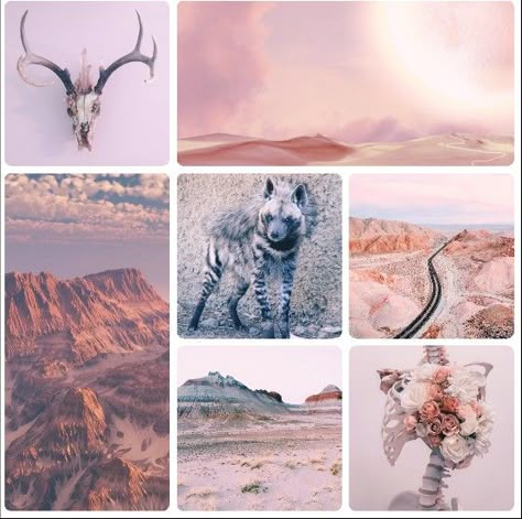 Moodboard For Character Design, Moodboards For Characters, Animal Moodboard Aesthetic, Moodboard Animals, Character Mood Boards Aesthetic, Animal Moodboard, Moodboards Aesthetic, Character Moodboard, Moodboard Inspo