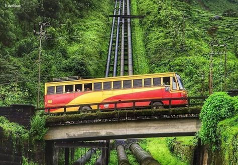 Train Travel Videos, Munnar Photography, Kerala Bus, Kerala Travel, Nature Trip, Amazing India, Kerala Tourism, Forest View, Munnar