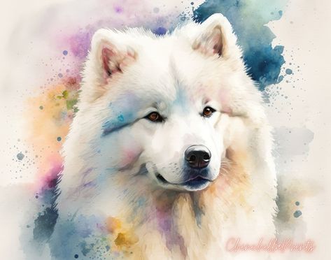 Samoyed Art Print Samoyed Dog Art Samoyed Painting Samoyed - Etsy UK Samoyed Watercolor, Samoyed Painting, Samoyed Dogs, Shetland Sheepdog, Diamond Art, Dog Art, All Art, Watercolor Tattoo, Vivid Colors