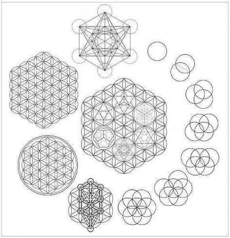 Sacred Geometry.  Blueprint of all living things. Seed, flower, tree of life, etc. Solid Objects, Sacred Geometry Patterns, Sacred Science, Sacred Geometry Symbols, Sacred Geometry Tattoo, Geometry Tattoo, Platonic Solid, Sacred Geometry Art, Seed Of Life