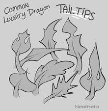 #dragon #art #drawing #reference Dragon Art Drawing, Species Guide, Dragon Poses, Dragon Tail, Wings Drawing, Dragon Sketch, Reference Art, Dot Net, Creature Drawings