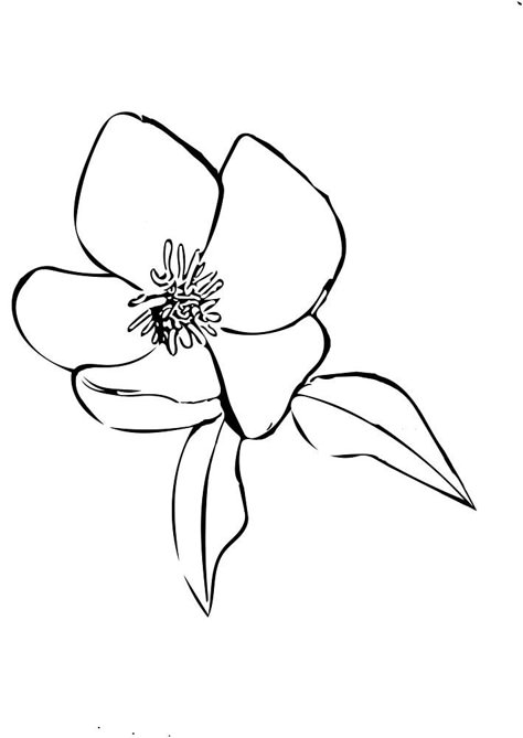 This is my favorite look - I'd like a similar flower incorporated into my logo One Line Magnolia Tattoo, Magnolia Flower Drawing Simple, Simple Magnolia Drawing, Embroidery Magnolia, Magnolia Doodle, Easy Magnolia Drawing, Magnolia Line Drawing, Magnolia Line Art, Magnolia Embroidery