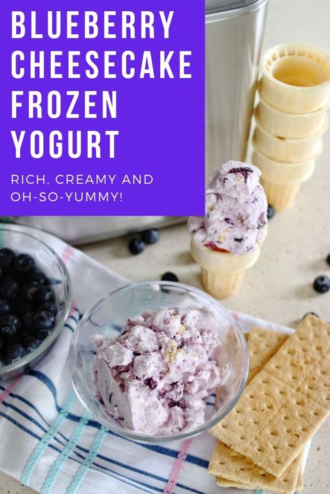 Blueberry Frozen Yogurt Recipe, Ninja Creami Blueberry Frozen Yogurt, Frozen Yogurt Flavors, Cheesecake Frozen Yogurt Recipe, Blueberry Frozen Yogurt, Letter Layout, Frozen Deserts, Frozen Yogurt Blueberries, Frozen Yogurt Recipes