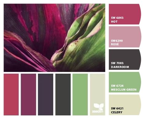 Paint colors from ColorSnap by Sherwin-Williams Color Palate, Design Seeds, Color Harmony, Color Textures, Colour Schemes, Color Pallets, Color Swatches, Color Themes, Color Inspiration