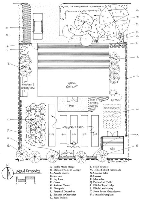 North Florida Garden, Florida Vegetable Garden, South Florida Gardening, Florida Backyard, Florida Garden, Florida Landscaping, Backyard Layout, Farm Plans, Backyard Plan