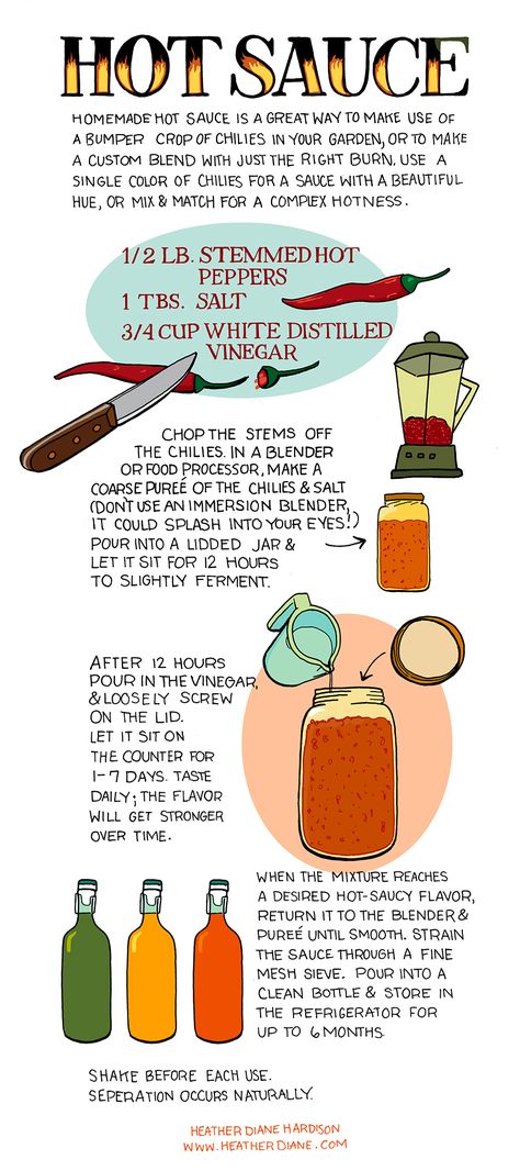 Homemade Hot Sauce from Illustrated Bites - My hot sauce addicted man will be very happy about this. Drawn Recipes, Make Hot Sauce, Pepper Harvest, Homemade Hot Sauce, Hot Sauce Recipes, Garden Veggies, Diy Recipes, Pepper Sauce, Homemade Sauce