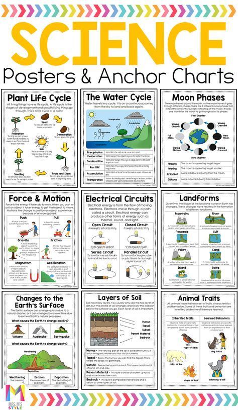 Science Poster Bundle Third Grade Science Experiments, Third Grade Science Lessons, Third Grade Science Projects, Third Grade Science Worksheets, Third Grade Science Activities, Science Posters, Science Concepts, Science Anchor Charts, Third Grade Science