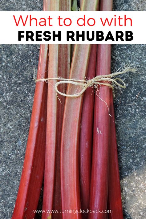 What to do with Fresh Rhubarb Frozen Rhubarb Recipes, Freezing Rhubarb, How To Cook Rhubarb, Healthy Rhubarb Recipes, Easy Rhubarb Recipes, Freeze Rhubarb, Rhubarb Recipes Pie, Fresh Rhubarb, Rhubarb Crisp