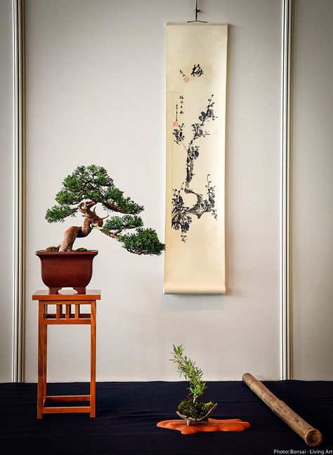 Members of the Slovenian bonsai club organized the VI. International bonsai exhibition which took place in Hotel Mons in Ljubljana. There wa... Bonsai Display Stand, Bonsai Exhibition, Traditional Greenhouses, Saikei Bonsai, Masahiko Kimura Bonsai, Literati Pine Bonsai, Bonsai Styles, Bonsai Sancang Mame, Mini Greenhouse