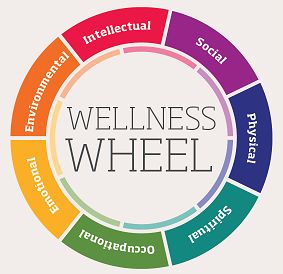 Google Image Result for http://business.oregonstate.edu/services/sites/default/files/wellness-wheel.bmp Study Infographic, Loose Weight In A Week, Wellness Wheel, Health Fair, Wellness Plan, Workplace Wellness, Corporate Wellness, Under Your Spell, Wellness Wednesday