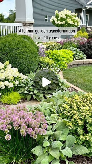 Joy in the Garden 🌸Joyce Merschman Ludlow | A full sun garden transformation over 10 years. This garden has been a tough one to figure out because it gets beating hot sun in my zone... | Instagram Perennial Garden Ideas Full Sun Zone 3, Full Sun Front Garden Ideas, Short Full Sun Perennials, Backyard Landscaping Full Sun, Zone 9 Front Yard Landscaping, Sun Tolerant Plants Landscapes, Zone 7 Landscaping Ideas, Plants That Last All Year Round, Zone 6 Landscaping Front Yards Full Sun