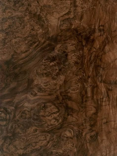 Walnut Burl Veneer Walnut Wood Texture, Veneer Texture, Models Architecture, Interior Materials, Concept Models Architecture, Walnut Burl, Rough Wood, Wooden Pattern, Wood Grain Texture