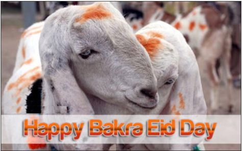 online bakra eid wallpapers Bakra Eid Mubarak, Eid Song, Eid Wallpaper, Eid Quotes, Bakra Eid, Eid Mubarak Images, On Friendship, Dosti Shayari, Mubarak Images