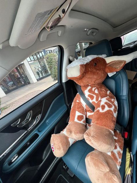 Stuff Animals In Car, Huge Plushies Aesthetic, Dino Plushie Aesthetic, Car Plushie Aesthetic, Dinosaur Stuffed Animal Aesthetic, Hobbies