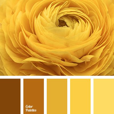 monochrome yellow color palette | Color ... Yellow Shades Colour Palettes, Flat Bedroom, In Color Balance, Shades Of Yellow Color, Yellow Color Palette, Yellow Palette, Monochrome Color Palette, Orange Color Schemes, Color Palette Ideas