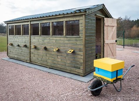 Bee shed musings Apiary Garden, Small Space Beekeeping, Horizontal Bee Hive Plans, Warre Bee Hive Plans, Flow Hive Beekeeping, Shed Windows, Bee Houses, Bee Hive Plans, Bee House