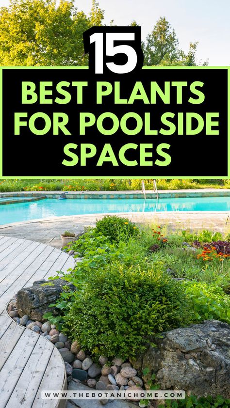 A beautiful above-ground pool area showcasing the 15 best plants for poolside spaces. Includes various plants for pool area to inspire your poolside landscaping. Privacy For Pool Area, Plants Near Pool Landscaping, Bushes Around Pool, Poolside Plants Potted, Pool Side Plants Ideas, Swimming Pool Plants Landscaping Ideas, Pool Area Landscaping Ideas, Pool Friendly Plants, Poolside Plants Landscaping