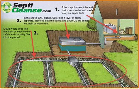 Diy Septic System, Septic Tank Systems, Hydroponics Diy, Solar Energy Diy, Aquaponics System, Septic System, Homestead Survival, Earthship, Tank Design