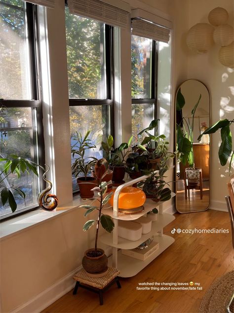 Sunny Apartment Aesthetic, Plant Apartment, Apartment Aesthetic, Living Room Remodel, Vintage Room, Room Remodeling, Room Inspiration Bedroom, Apartment Interior, House Inspo