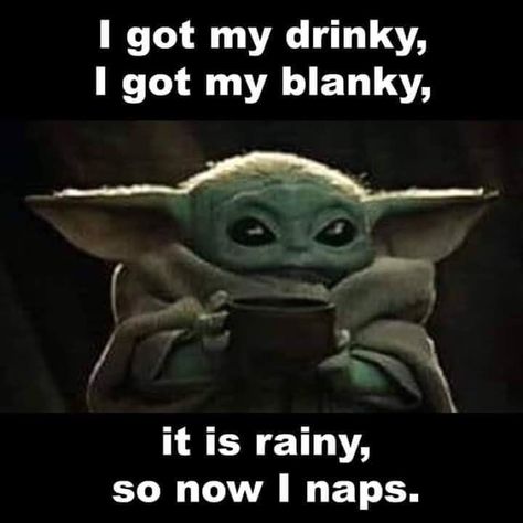 Me every rainy day this spring. Yoda Quotes, Yoda Images, Yoda Meme, Funny Star Wars Memes, Yoda Wallpaper, Star Wars Meme, Yoda Funny, Star Wars Jokes, Jedi Master